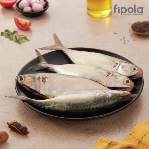 Enjoy up to 35% off on all fresh caught Sea Food at Fipola 