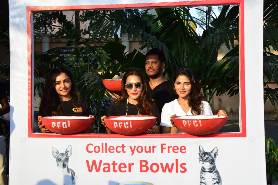Join hands and Quench the thirst of needy Animals and Birds