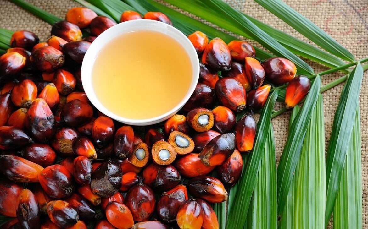 “No Palm Oil” claims mislead consumers and ignores scientific evidence: OTAI President
